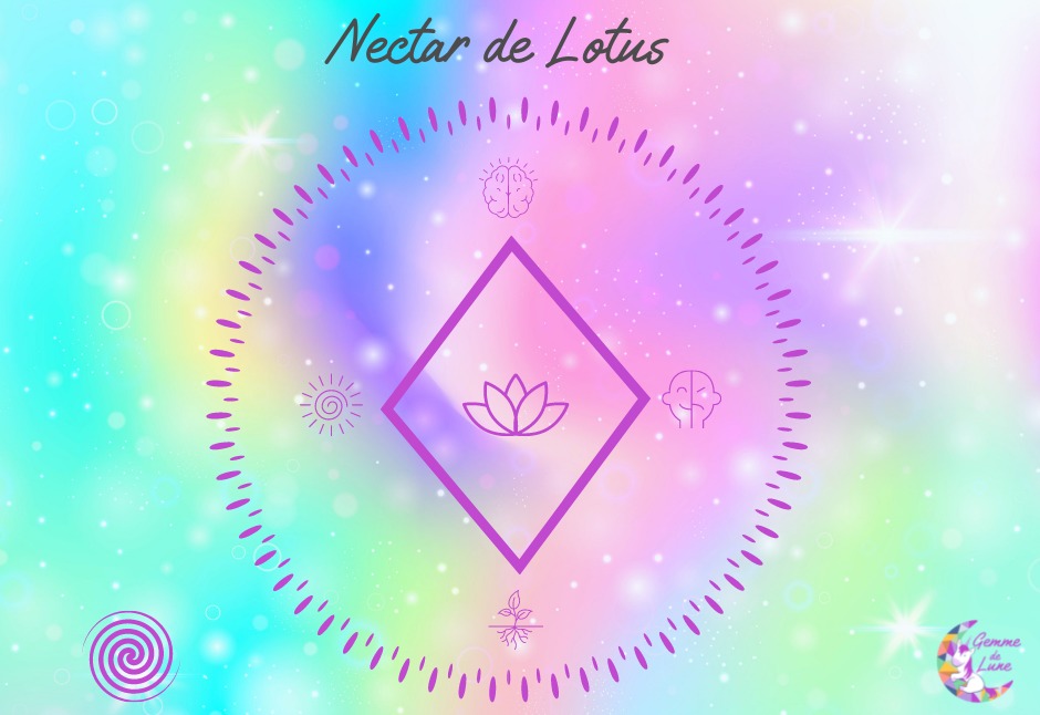 nectar de lotus